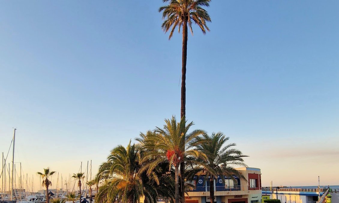 Resale - Apartment -
Denia - Costa Blanca