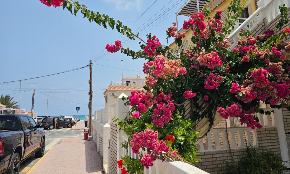 Használt Ingatlanok - Bungaló -
Torrevieja - Los Europeos
