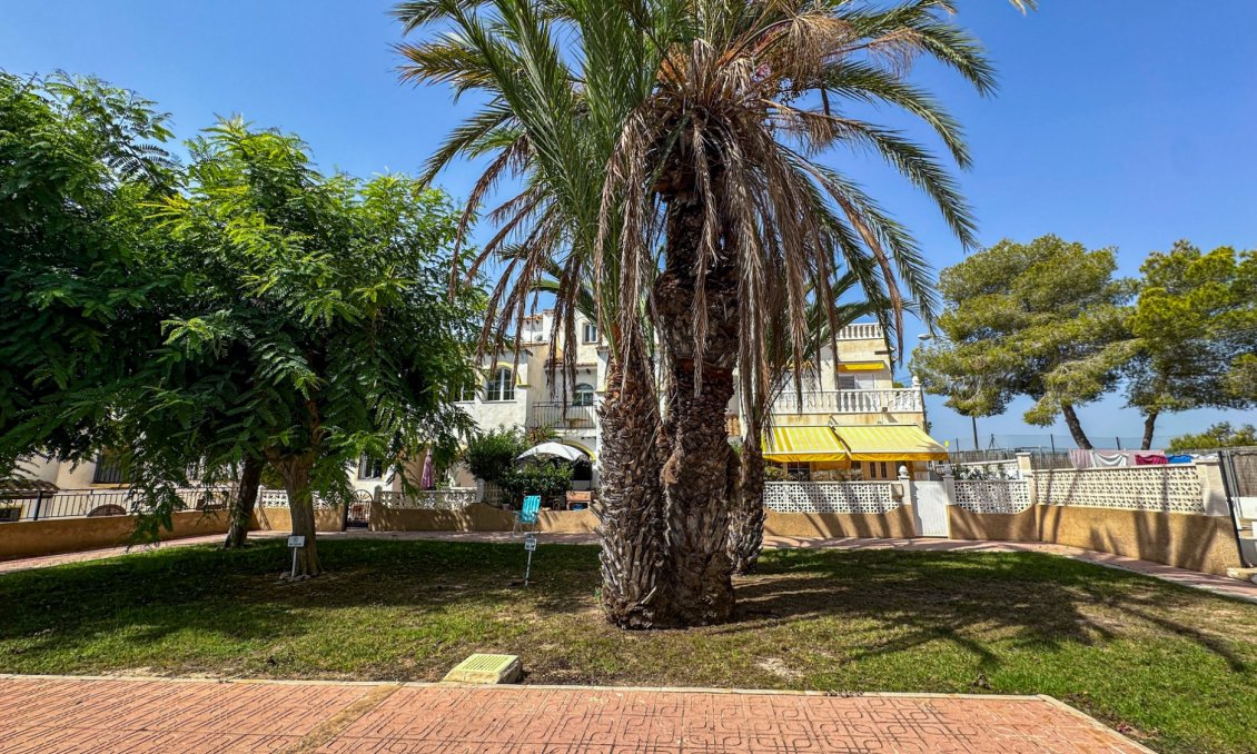 Resale - Bungalow -
San Miguel de Salinas - Inland