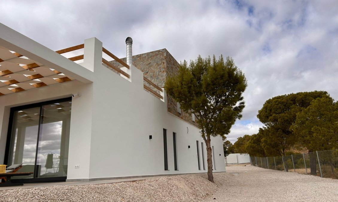 Obra nueva - Villa -
Pinoso - Casas Pastor