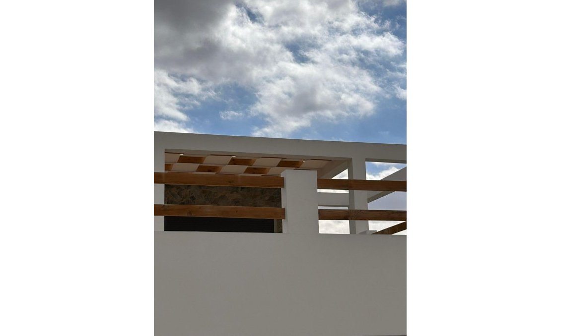 Obra nueva - Villa -
Pinoso - Casas Pastor