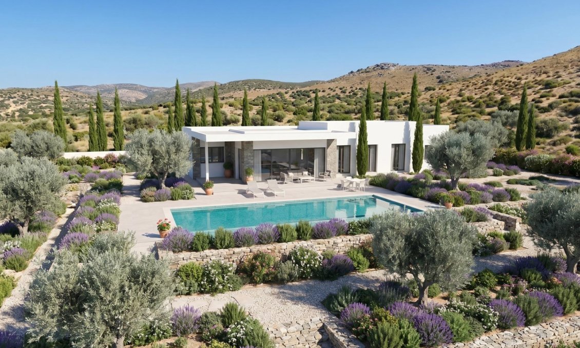 Obra nueva - Villa -
Pinoso - Casas Pastor