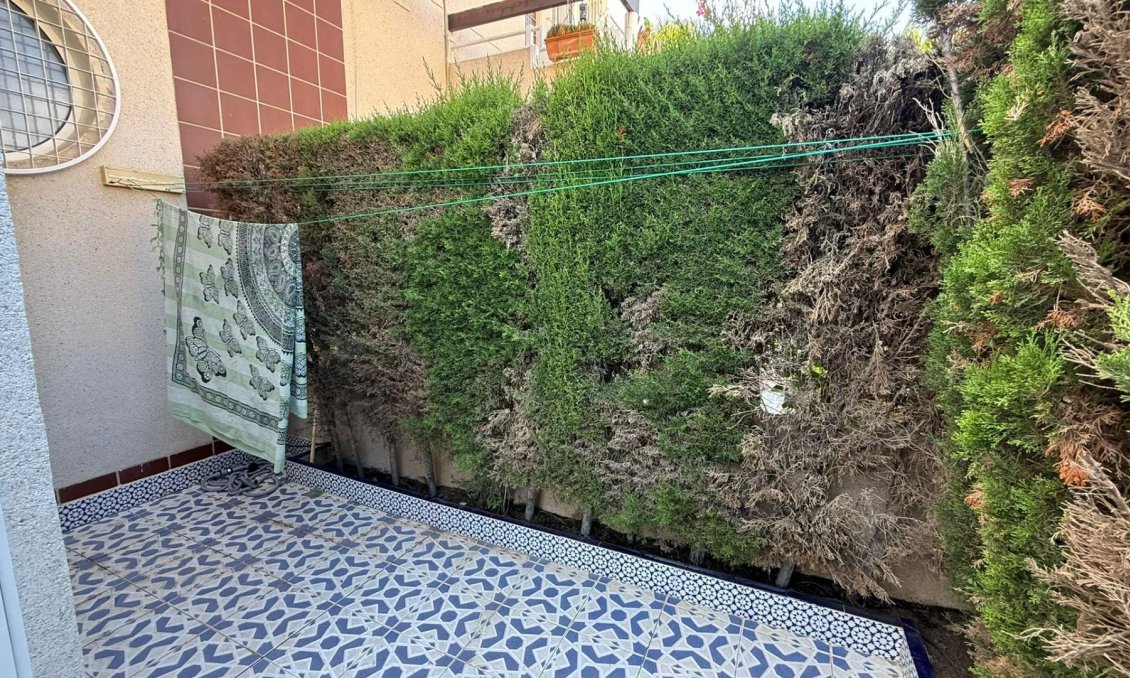 Használt Ingatlanok - Bungaló -
Torrevieja - Punta Prima