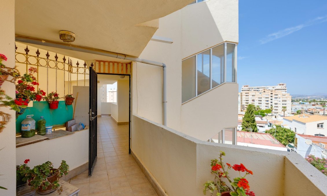 Használt Ingatlanok - Apartman -
Torrevieja - Costa Blanca