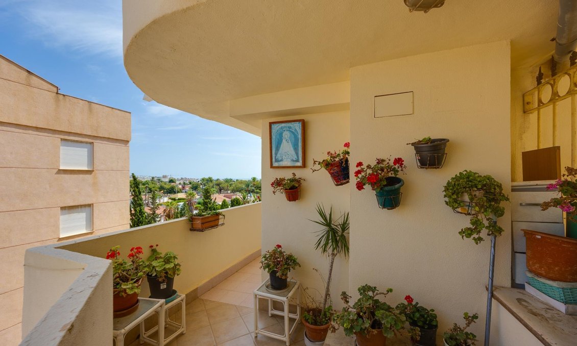 Használt Ingatlanok - Apartman -
Torrevieja - Costa Blanca