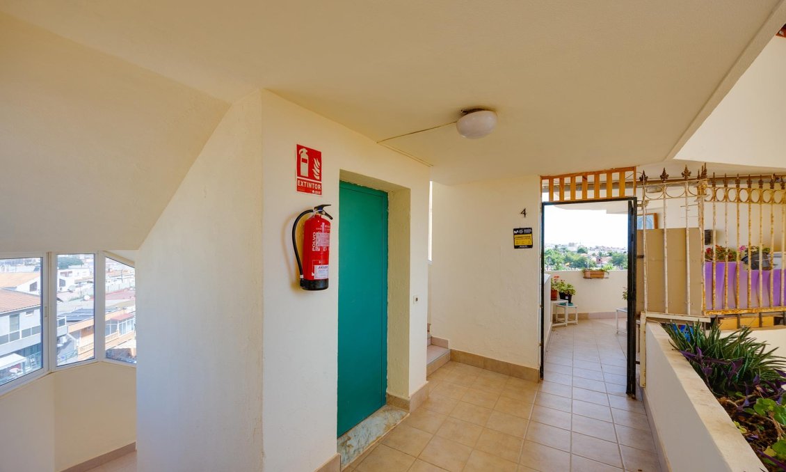 Használt Ingatlanok - Apartman -
Torrevieja - Costa Blanca