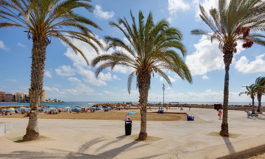 Használt Ingatlanok - Apartman -
Torrevieja - Costa Blanca