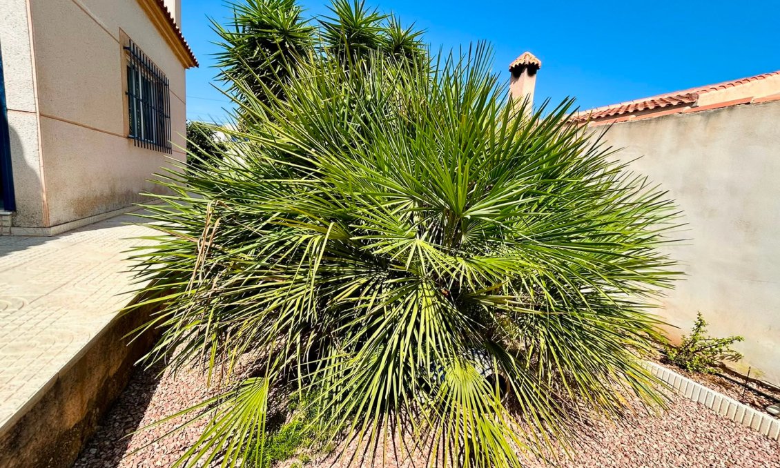 Resale - Villa -
Torrevieja - Costa Blanca