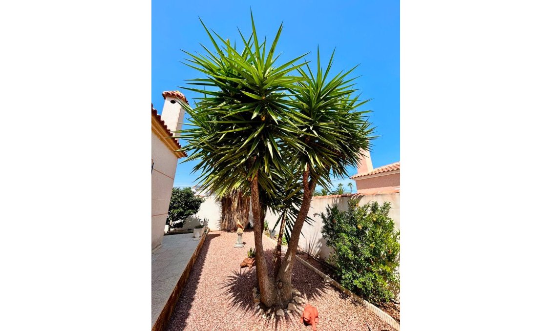 Resale - Villa -
Torrevieja - Costa Blanca