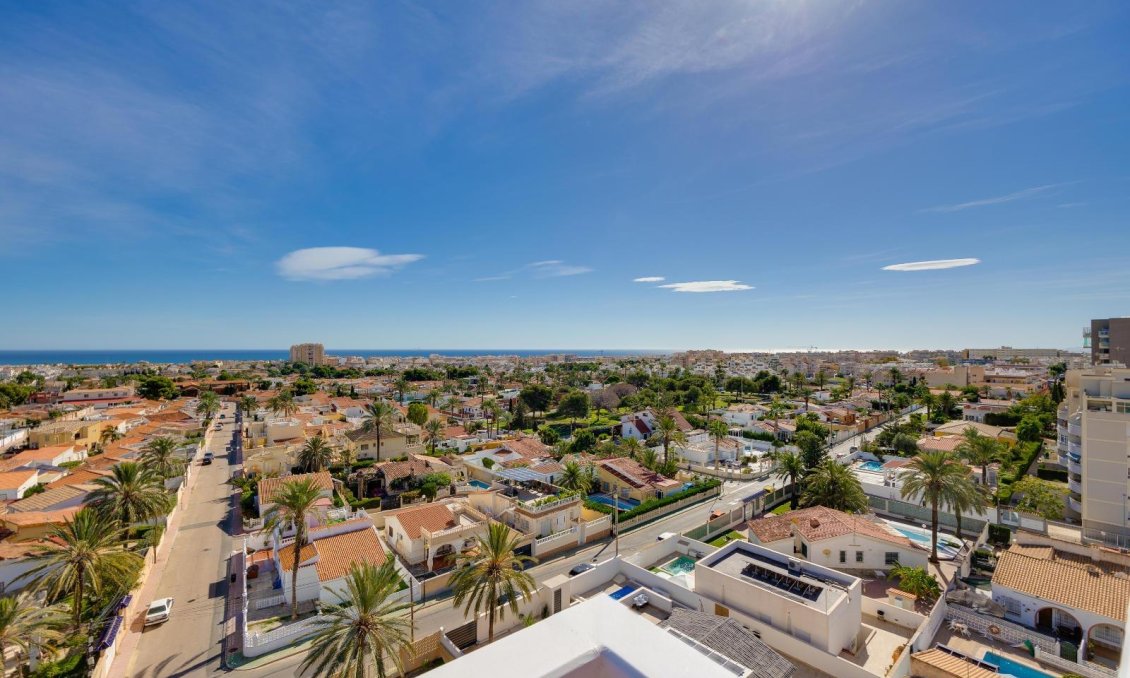 Használt Ingatlanok - Apartman -
Torrevieja - Nueva Torrevieja