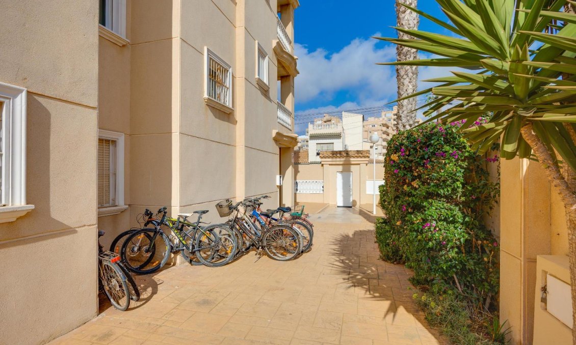 Használt Ingatlanok - Apartman -
Torrevieja - Nueva Torrevieja