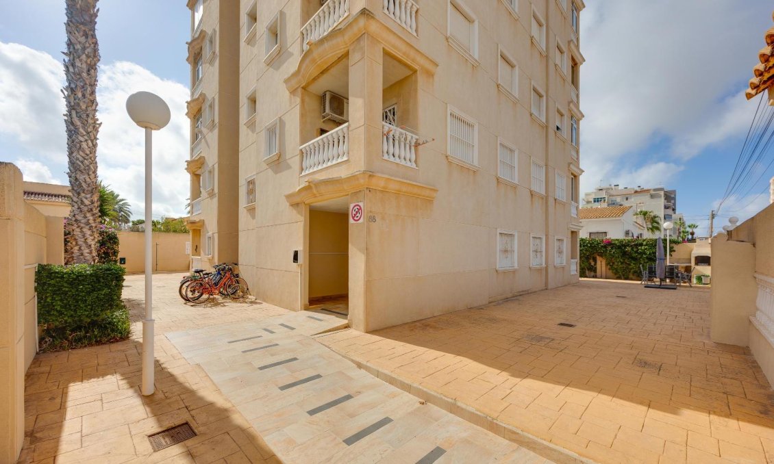 Használt Ingatlanok - Apartman -
Torrevieja - Nueva Torrevieja
