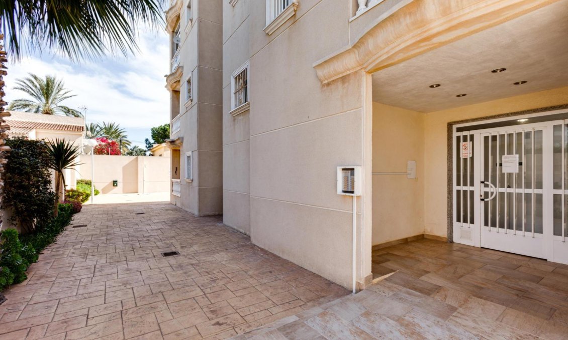 Használt Ingatlanok - Apartman -
Torrevieja - Nueva Torrevieja