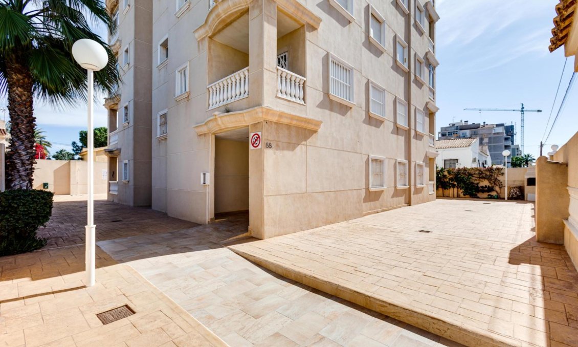 Használt Ingatlanok - Apartman -
Torrevieja - Nueva Torrevieja
