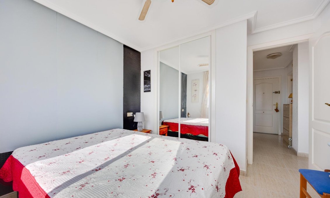 Használt Ingatlanok - Apartman -
Torrevieja - Nueva Torrevieja