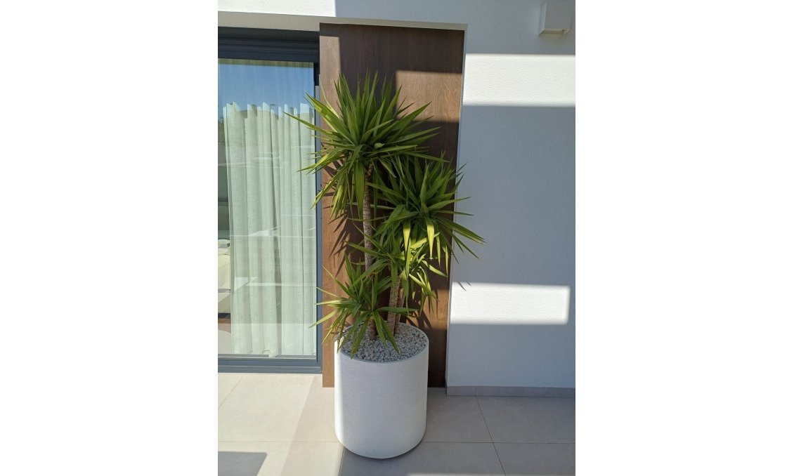 Resale - Villa -
Rojales - Inland