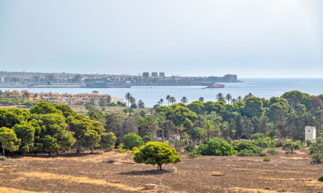 Wiederverkauf - Wohnung -
Orihuela Costa - Costa Blanca