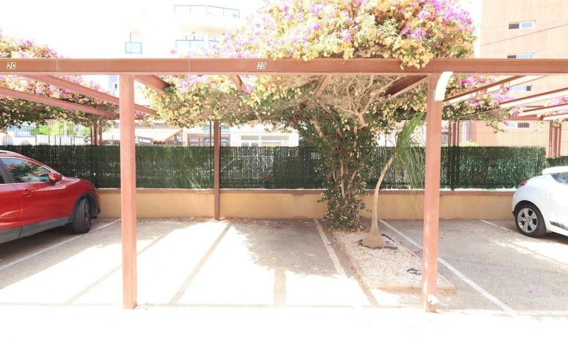 Segunda mano - Apartamento -
Orihuela Costa - Costa Blanca