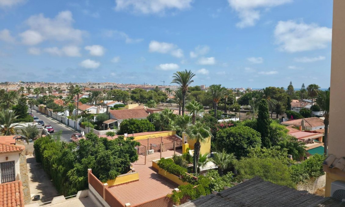Használt Ingatlanok - Apartman -
Torrevieja - Nueva Torrevieja