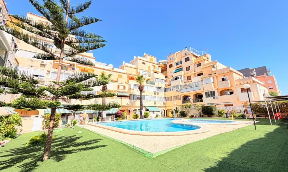Használt Ingatlanok - Apartman -
Torrevieja - Nueva Torrevieja
