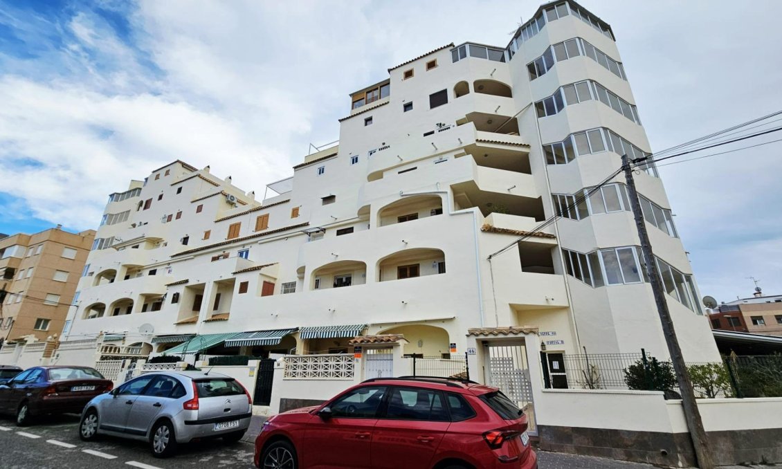 Használt Ingatlanok - Apartman -
Torrevieja - Nueva Torrevieja