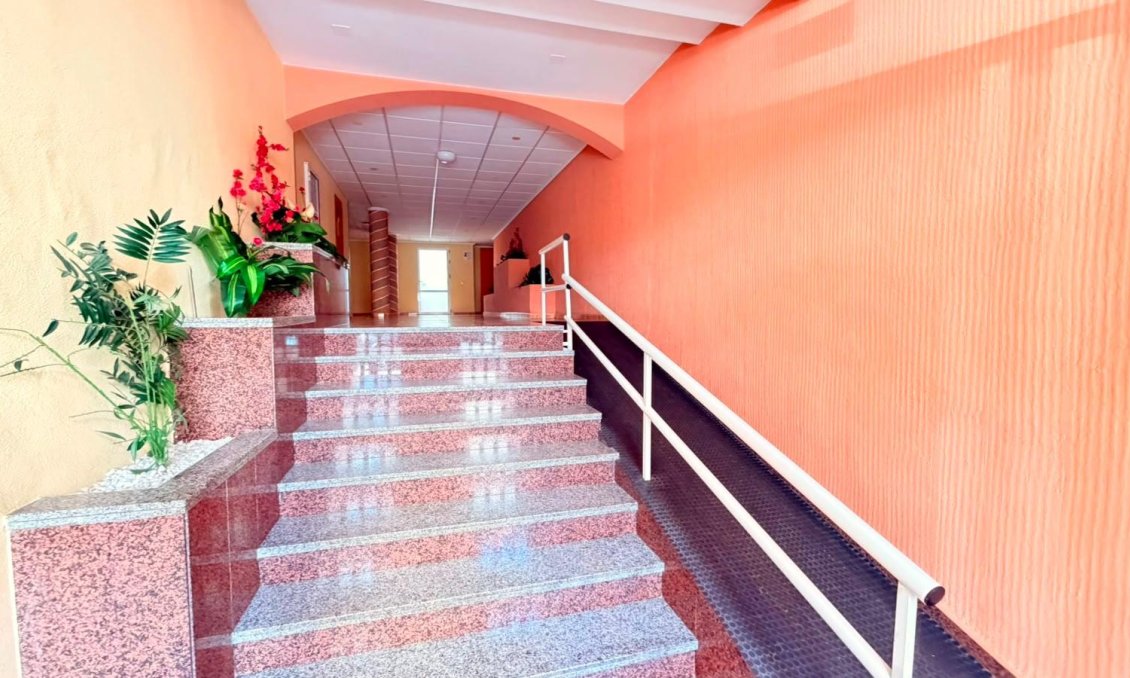Használt Ingatlanok - Apartman -
Torrevieja - Playa del Cura