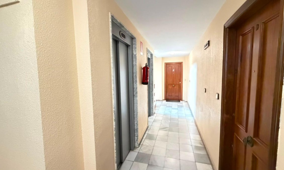 Használt Ingatlanok - Apartman -
Torrevieja - Centrum - Muelle Pesquero