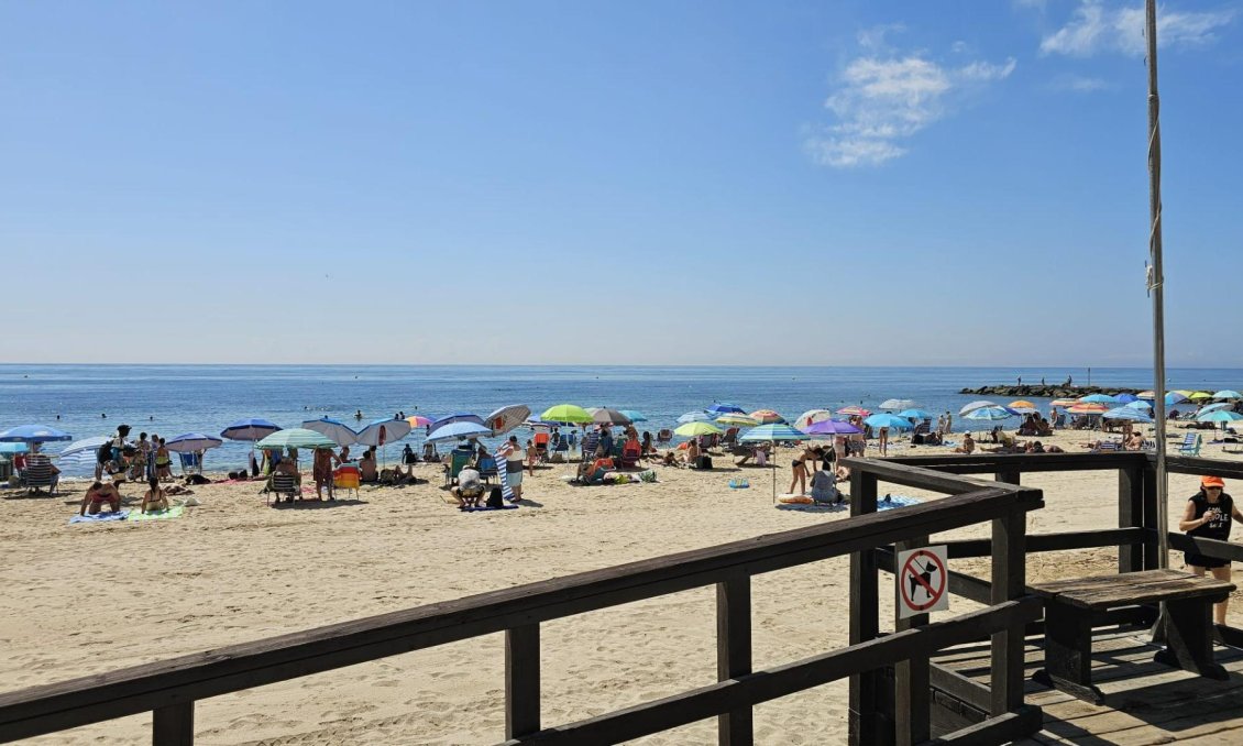 Resale - Apartment -
Torrevieja - Playa de los Locos