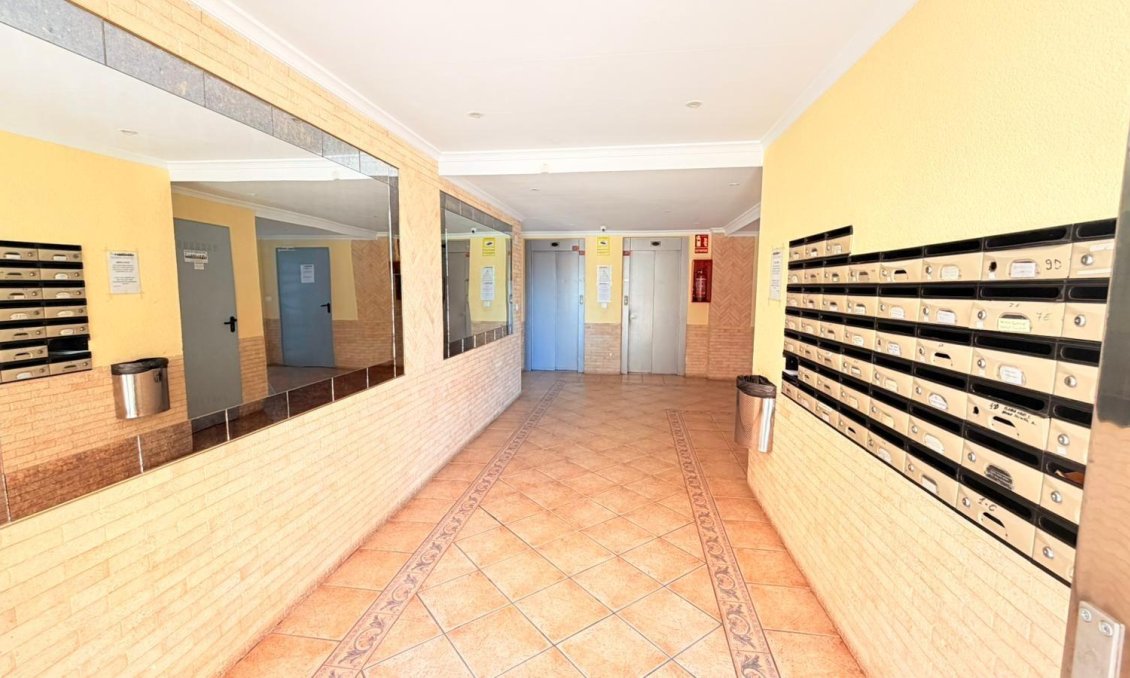 Használt Ingatlanok - Apartman -
Torrevieja - Nueva Torrevieja
