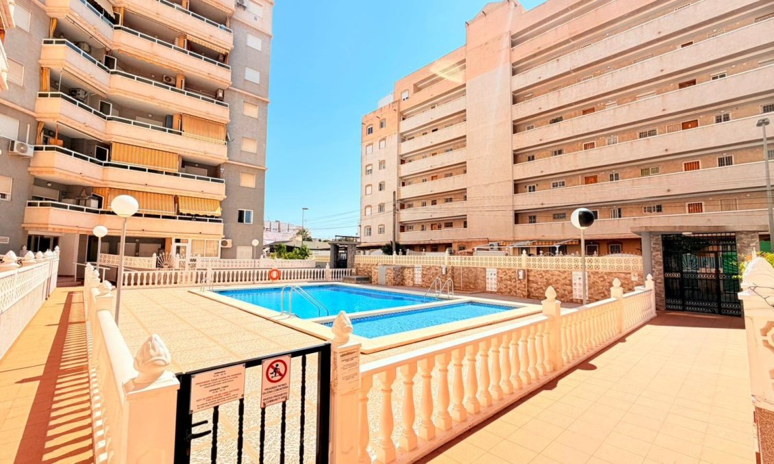 Használt Ingatlanok - Apartman -
Torrevieja - Nueva Torrevieja