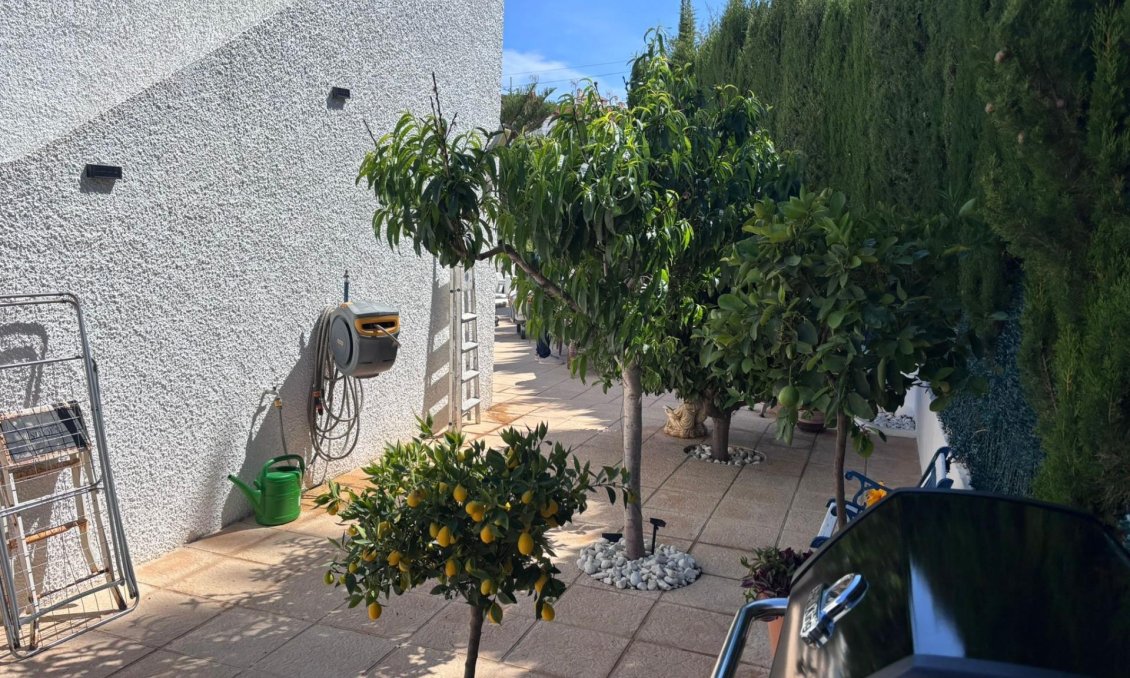Segunda mano - Villa / Semi pareado -
Torrevieja - Los Balcones