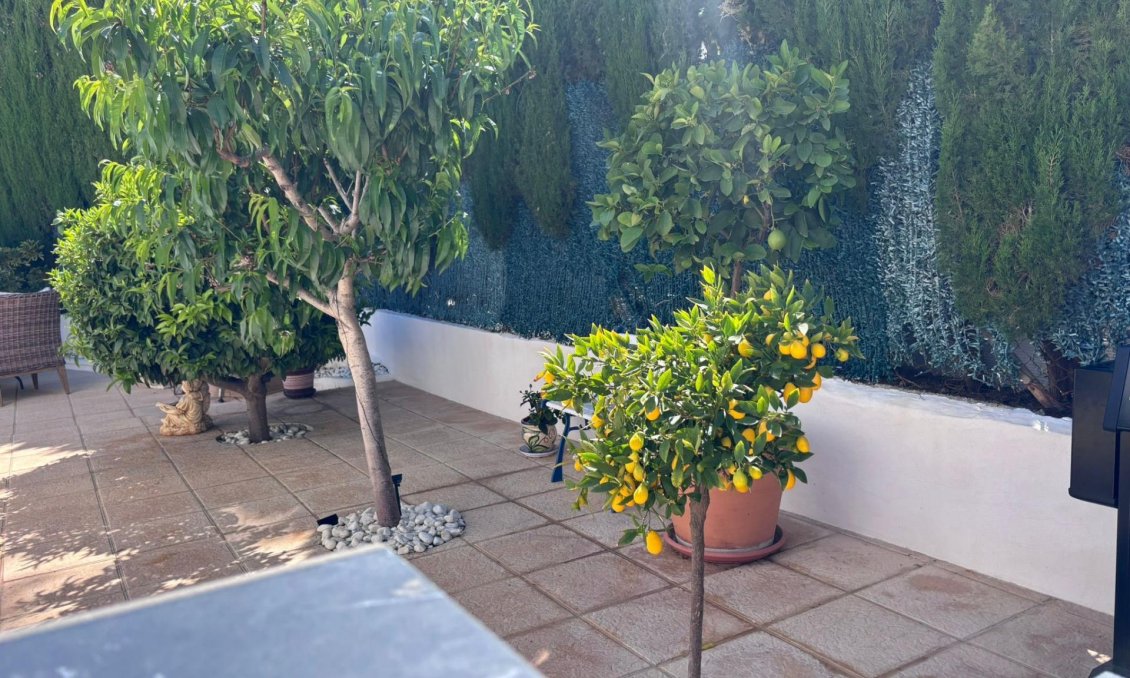 Segunda mano - Villa / Semi pareado -
Torrevieja - Los Balcones