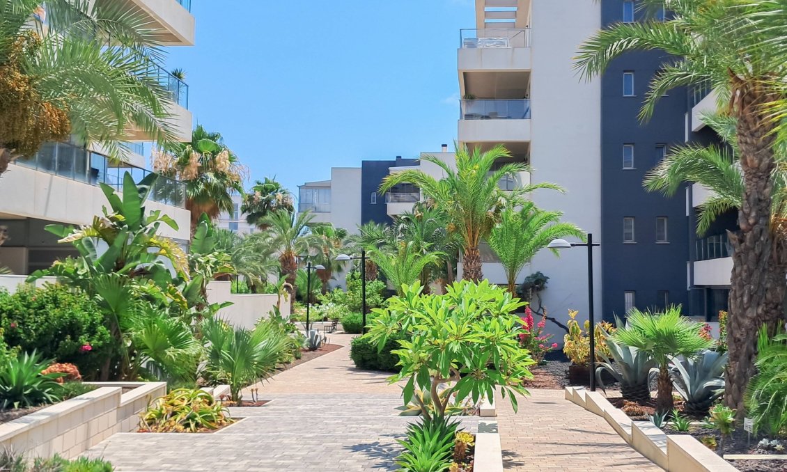 Segunda mano - Apartamento -
Orihuela Costa - Los Dolses