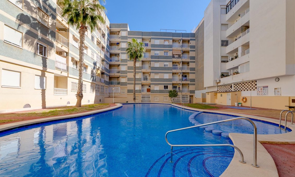 Segunda mano - Apartamento -
Torrevieja - Centro