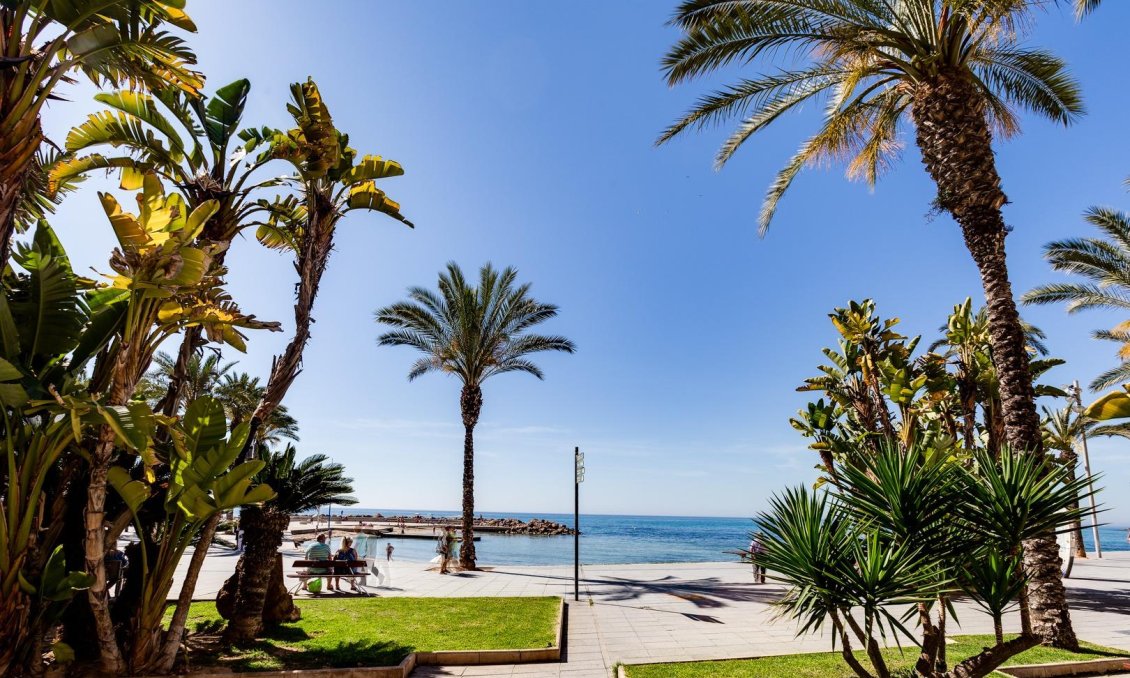 Segunda mano - Apartamento -
Torrevieja - Centro
