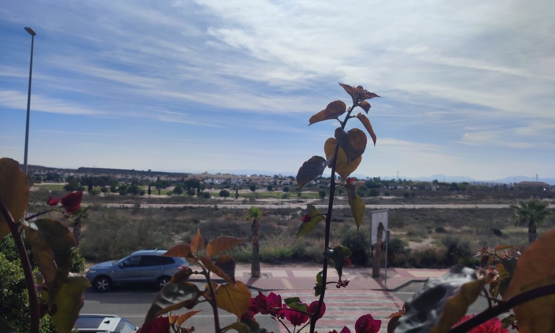 Segunda mano - Apartamento -
Altaona Golf - Inland