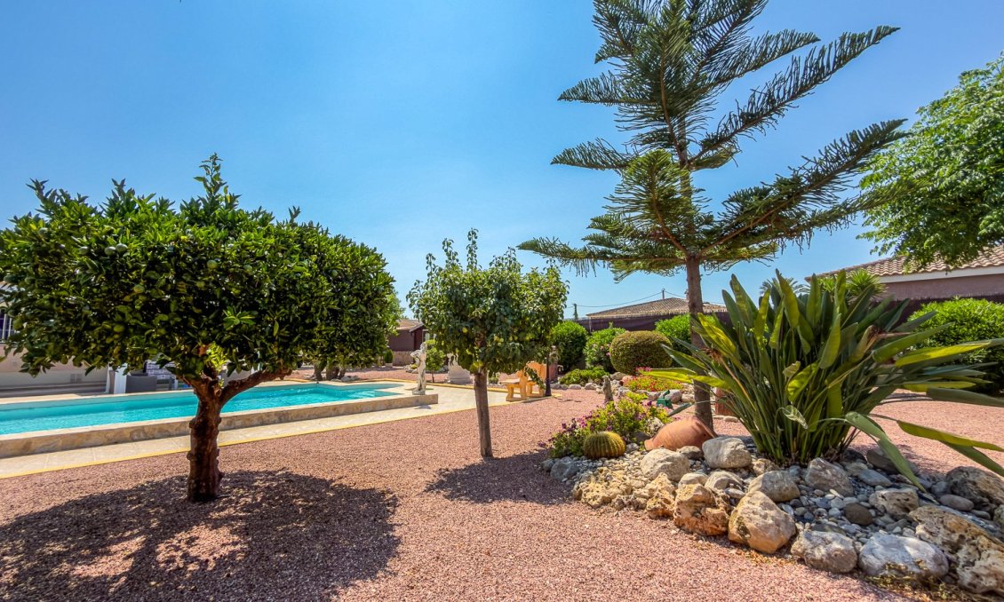Segunda mano - Villa -
Catral - Costa Blanca