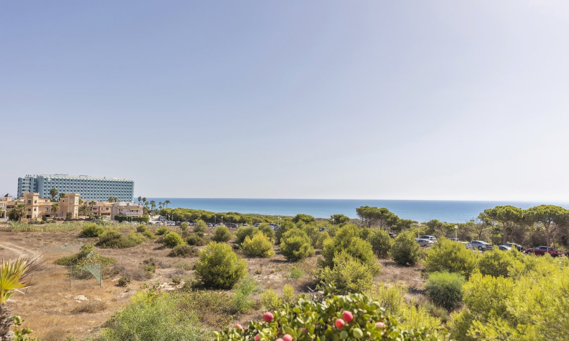 Segunda mano - Apartamento -
Guardamar del Segura - Costa Blanca