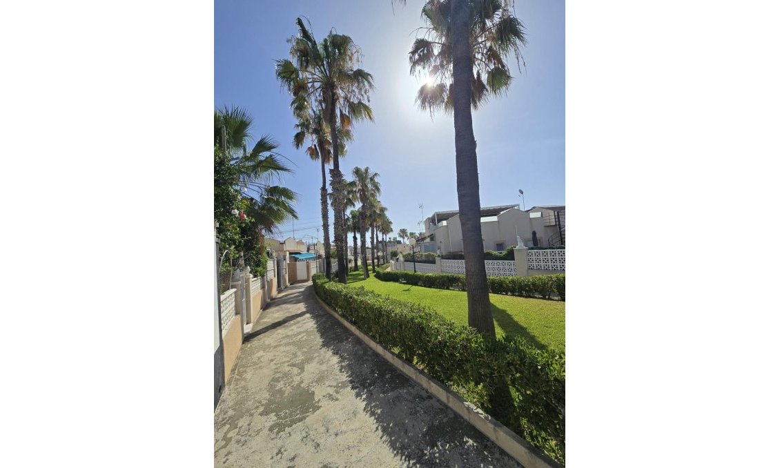 Használt Ingatlanok - Bungaló -
Torrevieja - Los Balcones