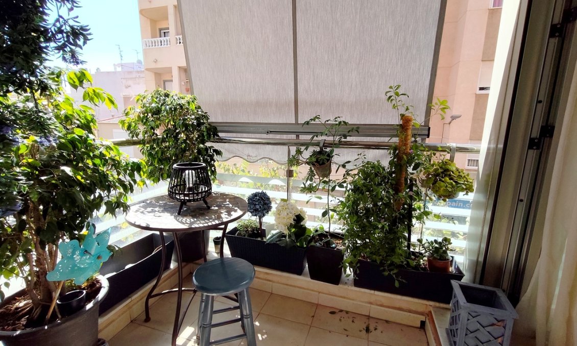 Segunda mano - Apartamento -
Torrevieja - Costa Blanca