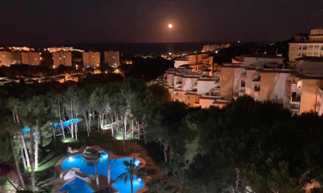 Segunda mano - Apartamento -
Orihuela Costa - Altos De Campoamor