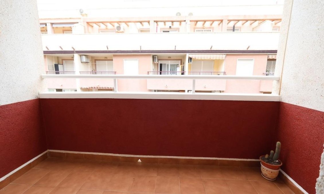 Segunda mano - Apartamento -
Torrevieja - Costa Blanca