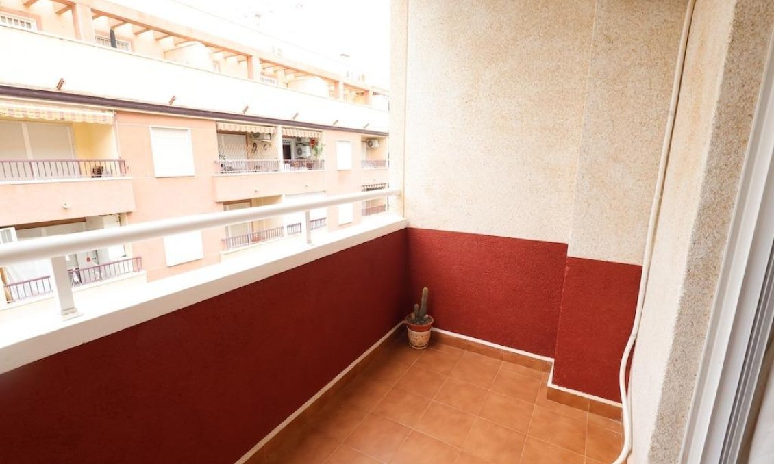 Segunda mano - Apartamento -
Torrevieja - Costa Blanca