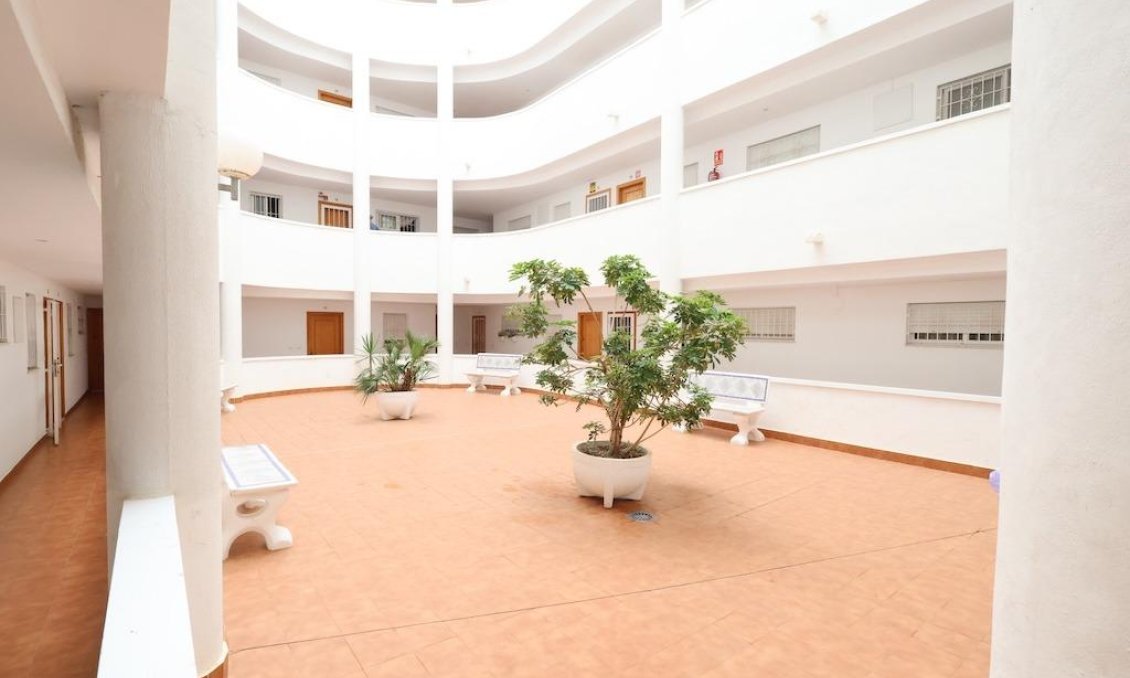 Segunda mano - Apartamento -
Torrevieja - Costa Blanca