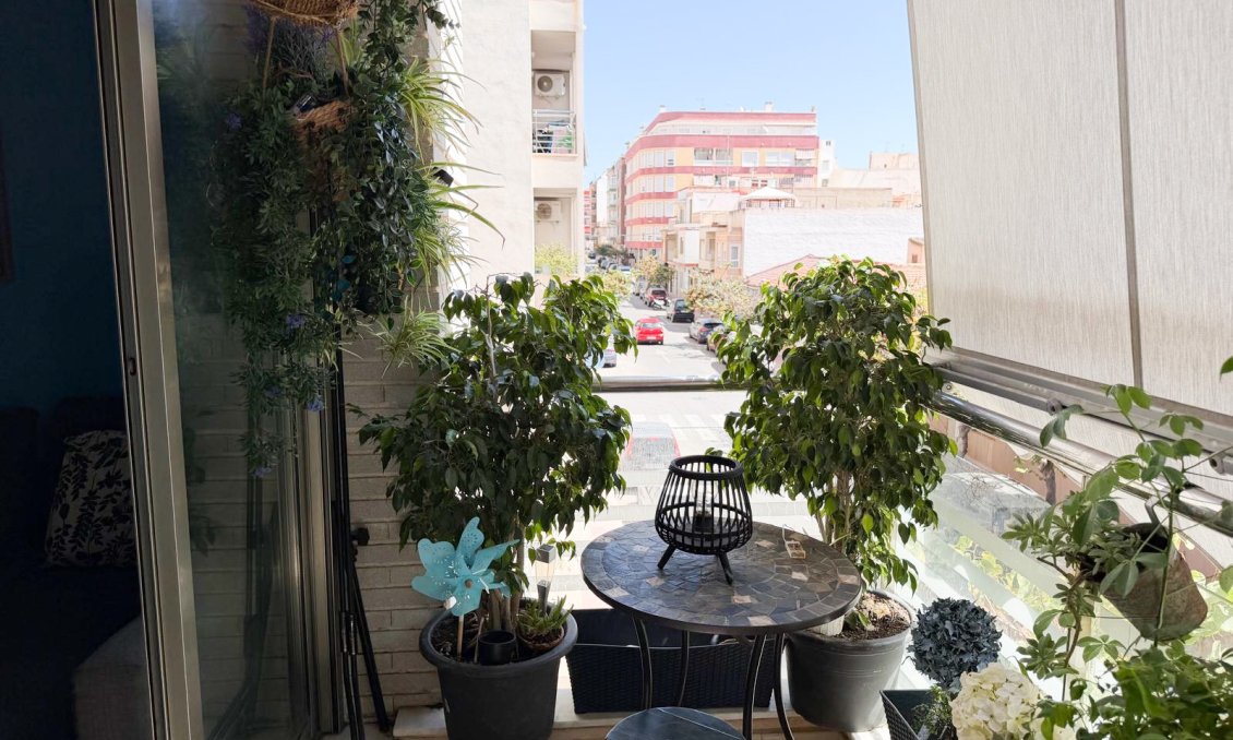 Revente - Appartement -
Torrevieja - Costa Blanca
