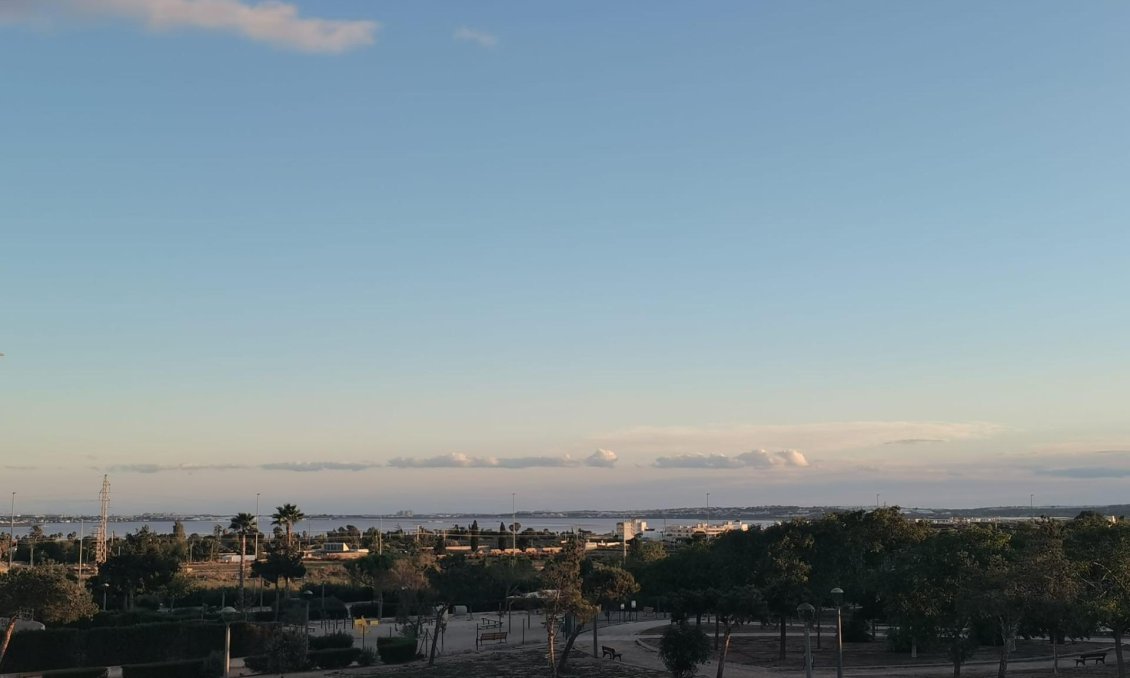 Nouvelle construction - Villa -
Los Montesinos - La Herrada