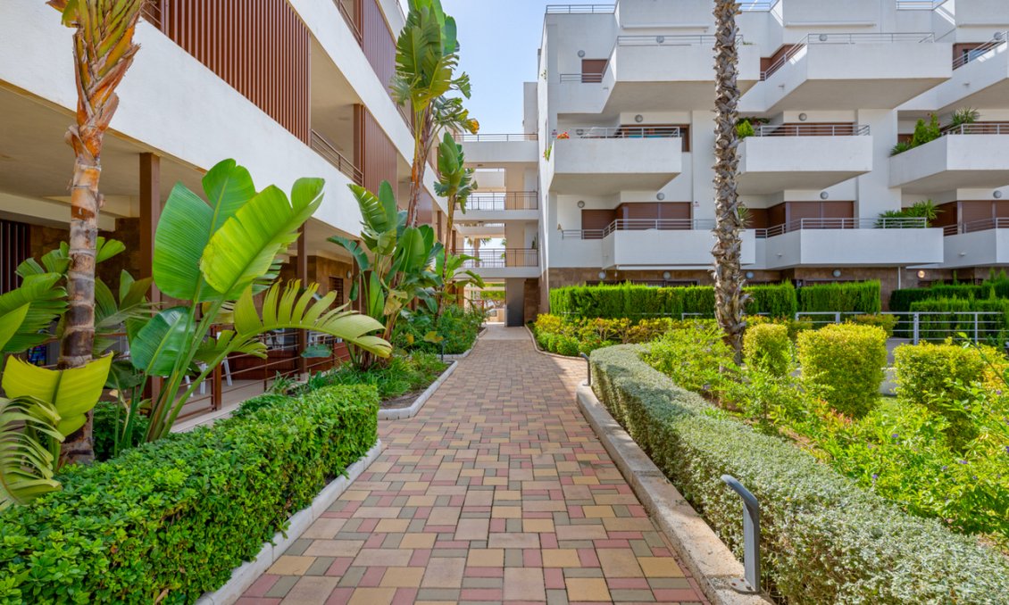 Revente - Appartement -
Cabo Roig - Costa Blanca