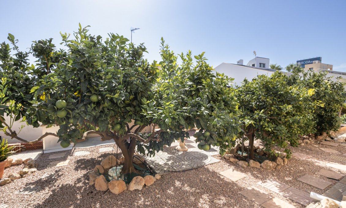 Segunda mano - Villa -
La Regia - Costa Blanca