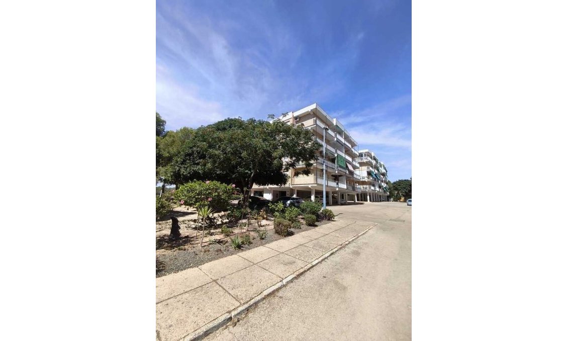 Wiederverkauf - Penthouse -
Punta Prima - Costa Blanca