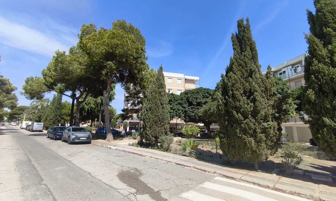 Wiederverkauf - Penthouse -
Punta Prima - Costa Blanca